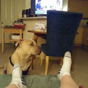 Meet your Posher, Rosella